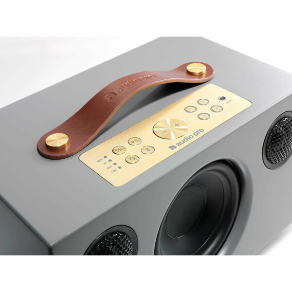 buy audio pro addon c10