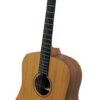 גיטרה אקוסטית מוגברת + נרתיק CORT Cedar-Grand BW