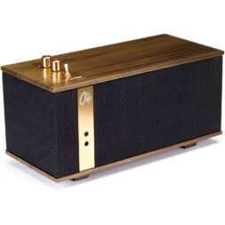 רמקול נייד Klipsch The One-לבמה ציוד הגברה