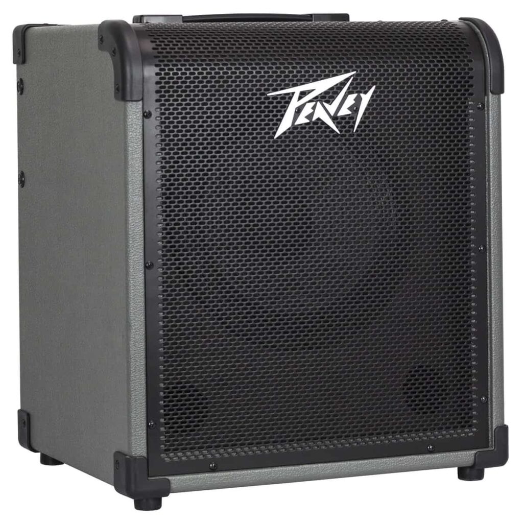 מגבר לבס 100W רמקול "10 PEAVEY MAX100 לבמה כלי נגינה