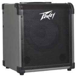 מגבר לבס 100W רמקול "10 PEAVEY MAX100 לבמה כלי נגינה