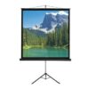 מסך חצובה למקרן 203X203 ס"מ SinoScreen T203