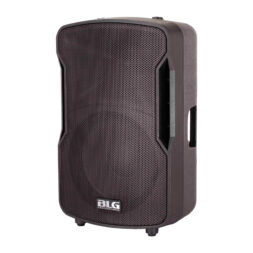 רמקול מוגבר 8" עם DSP ובלוטות' BLG Audio BP13-08A10