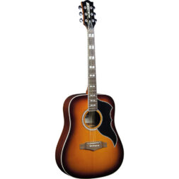 גיטרה אקוסטית EKO - Ranger VI VR Eq Honey burst