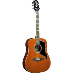 גיטרה אקוסטית EKO - Ranger VI VR Natural Top Stained