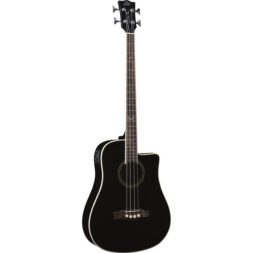 גיטרה בס אקוסטית מוגברת שחורה EKO - NXT B100e See through black