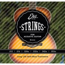 סט מיתרים לגיטרה אקוסטית EKO guitars 12-53 medium bronze