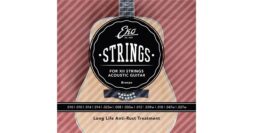 סט מיתרים לגיטרה אקוסטית 12 מיתרים EKO guitars 10-47